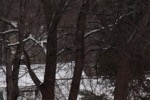 resIMG_20181121_122300_0398.JPG